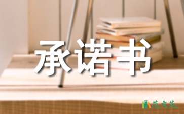 股權承諾書模板集錦十篇