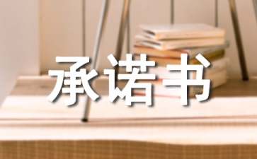 個人的安全承諾書匯總9篇