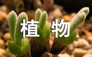 保護(hù)植物的倡議書(shū)