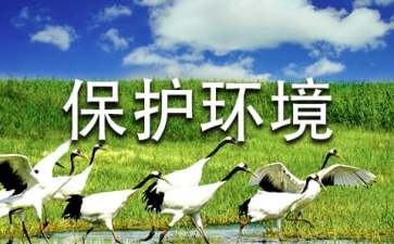 保護環(huán)境資源的建議書集合10篇