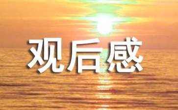 2022年關(guān)于北京冬奧會的觀后感800字（精選6篇）